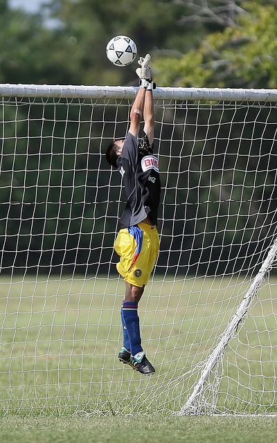 亨特都展示 亨特都展示