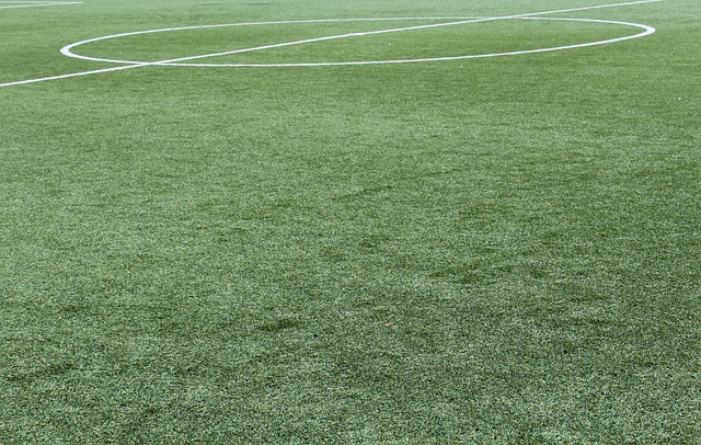 他强调 他强调